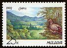 Codrii Nature Reserve 1992