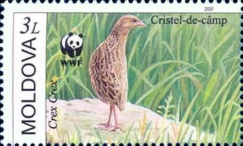 Corkcrake