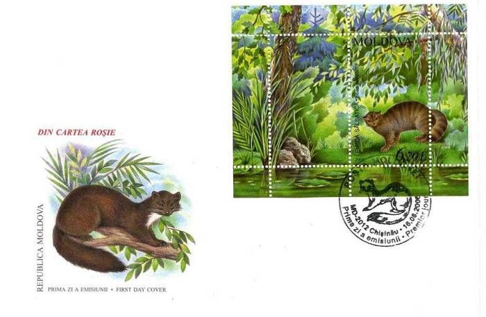 Cachet: European Pine Marten