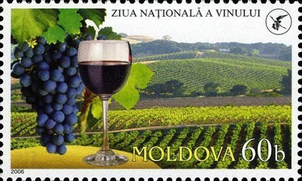 Grapes, Wine and Vineyard
