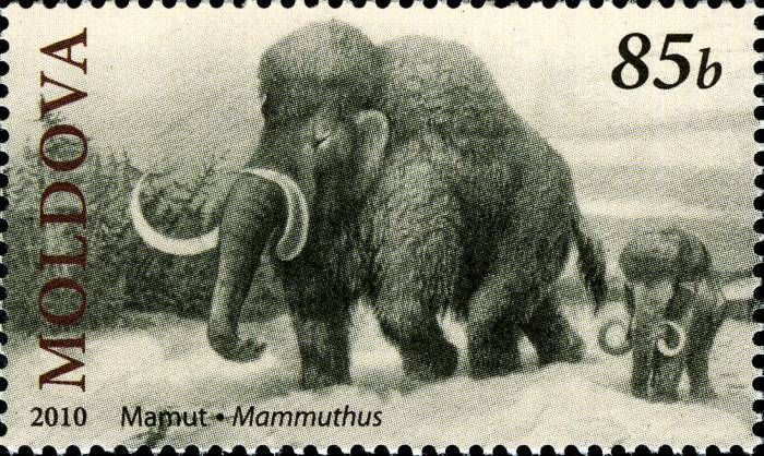 Mammoth