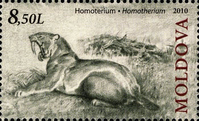 Sabre-Toothed Cat (Homotherium)
