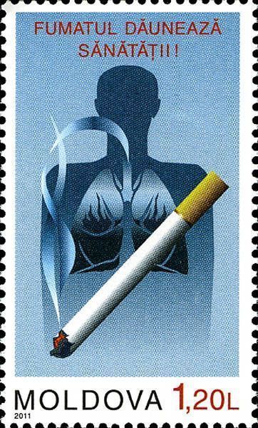 Cigarette and Human Lungs