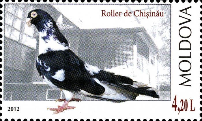 Chișinău Roller