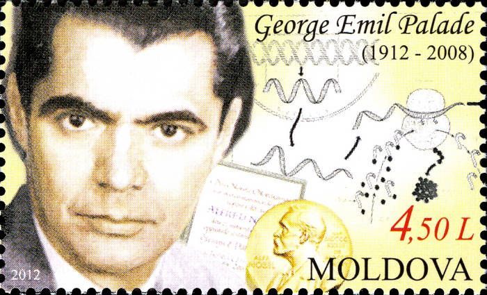 George Emil Palade (1912-2008). Romanian Biologist