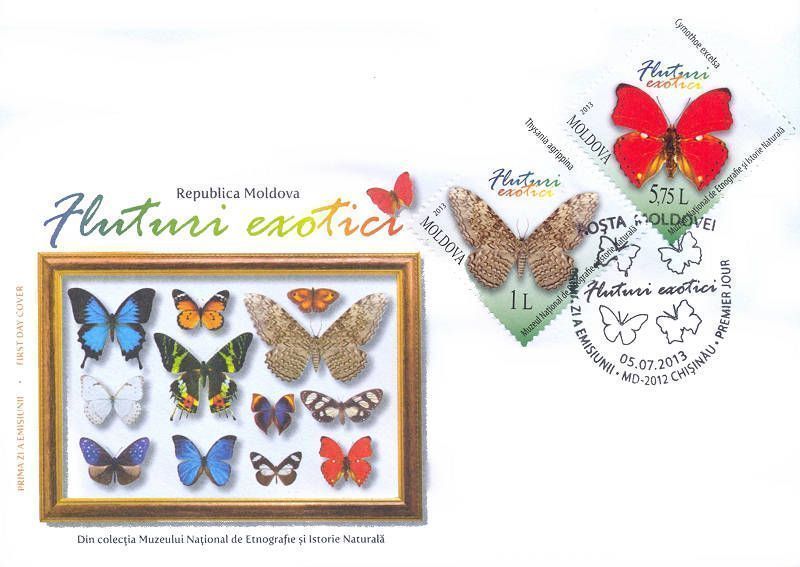 Cachet: A Collection of Butterflies