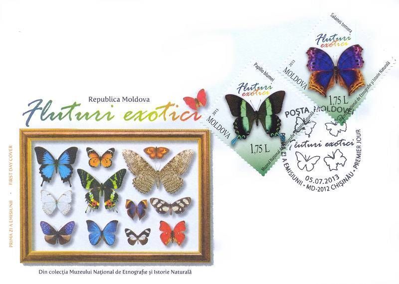 Cachet: A Collection of Butterflies