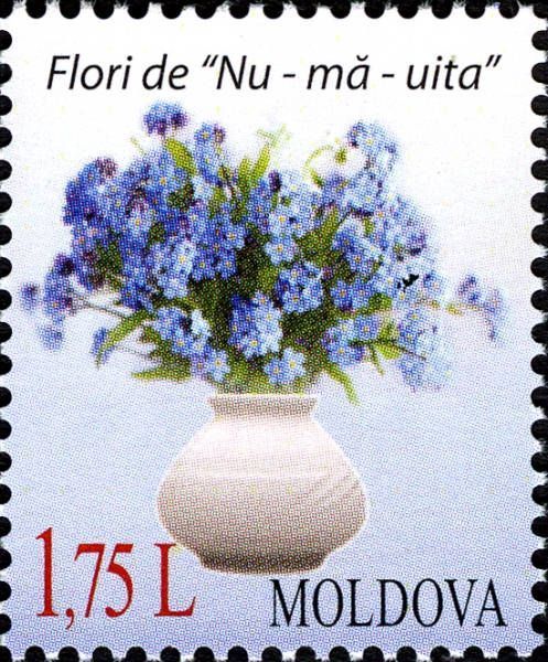 Flowers «Forget-Me-Not». Label May be Personalised
