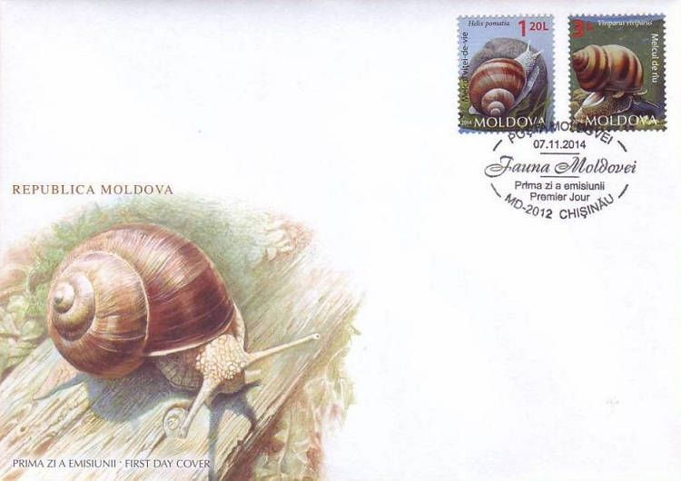 Cachet: Burgundy Snail (Helix pomatia)