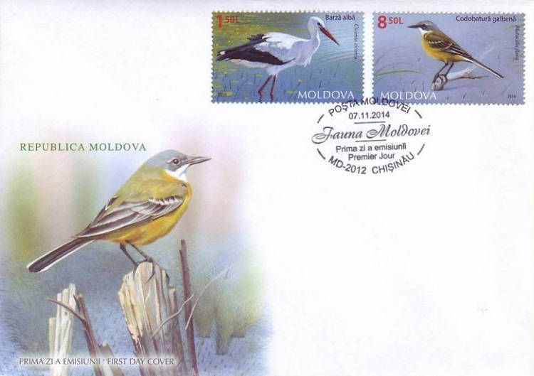 Cachet: Western Yellow Wagtail (Motacilla flava)