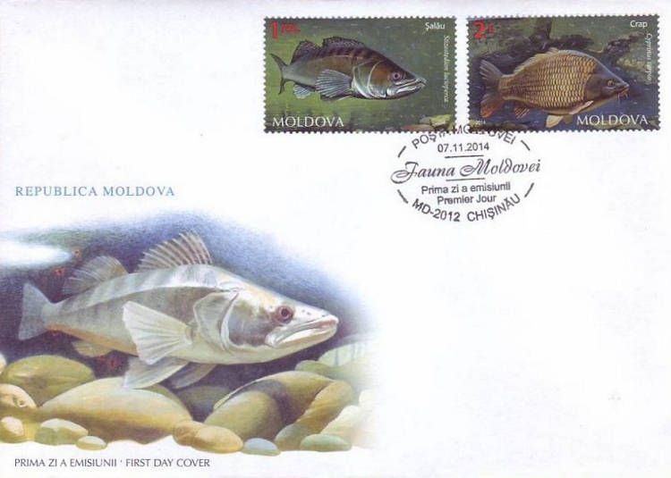 Cachet: Zander (Stizostedion lucioperca)