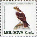European Nature Conservation Year