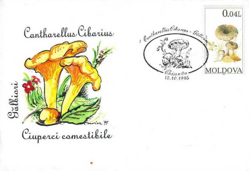 № CS1995/F3 - Съедобные грибы (ПОДДЕЛЬНЫМИ ШТЕМПЕЛЯМИ)