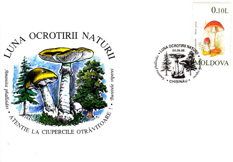 № CS1996/F3 - Месяц Природа уход (ПОДДЕЛЬНЫЕ ПОЧТОВОМУ ШТЕМПЕЛЯМИ)