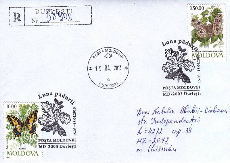 № CS2013/3 - Luna pădurii