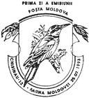 № CF23