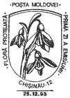 № CF33 - Флора - Цветы 1993