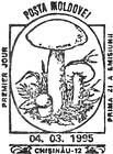Mushrooms (I)
