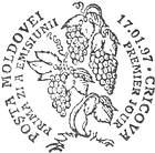 Wines and Grapes (I)