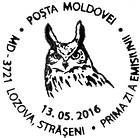 Fauna of Moldova: Birds of Prey