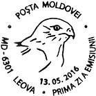 Fauna of Moldova: Birds of Prey