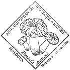 European Year of Nature Protection 1995