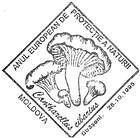 European Year of Nature Protection 1995