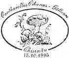 CS1995/F3 - Съедобные грибы (ПОДДЕЛЬНЫМИ ШТЕМПЕЛЯМИ) 1995