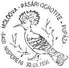 Special Commemorative Cancellation | Protected Birds - Hoopoe