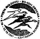 Săptămâna Scrisorii 1997