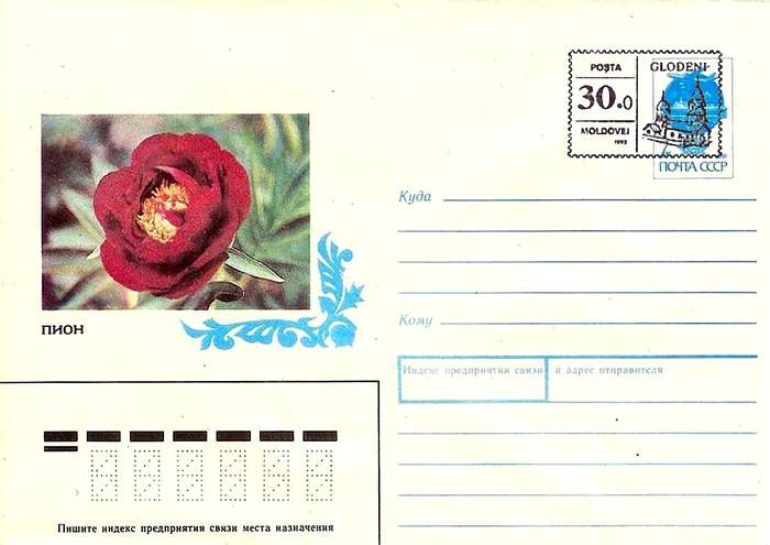 Envelope: Peony «Dandy Dan» (Address Side)