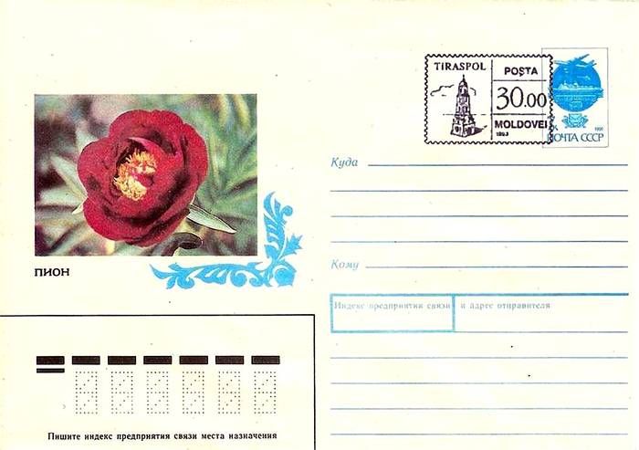 Envelope: Peony «Dandy Dan» (Address Side)