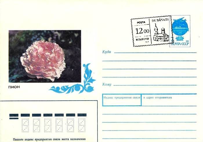 Envelope: Peony «Konnigen Wilhelmina» (Address Side)