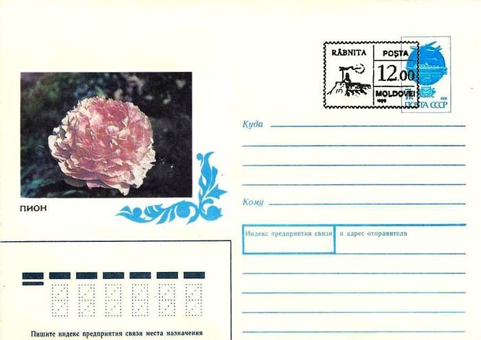Envelope: Peony «Konnigen Wilhelmina» (Address Side)