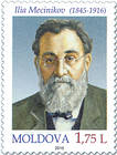 Ilya (Élie) Metchnikoff (1845-1916)