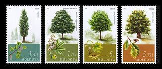 Trees
