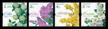 Flowering Shrubs