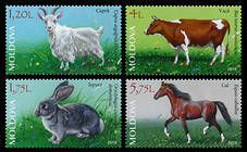 Domestic Animals
