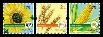 Field Crops