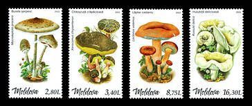 № - 1214-1217 - Mushrooms (V)