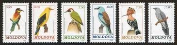 № - 14-19 - Birds (I)