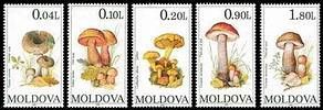 № - 153-157 - Mushrooms (I)
