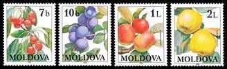 № - 278-281 - Fruits