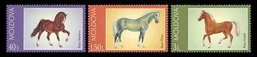 Horse Breeds 