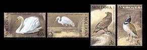 № - 481-484 - From The Red Book of the Republic of Moldova: Birds