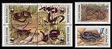 Endangered Snake Species - World Wide Fund for Nature (WWF) 