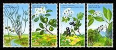 № - 501-504 - From The Red Book of the Republic of Moldova: Shrubs