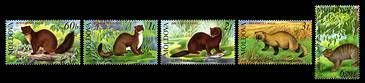№ - 559-563 - From The Red Book of the Republic of Moldova: Fauna - Mammals