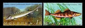 Protection of Endangered Fish Species in the Dniester River (Joint Issue with Ukraine) 