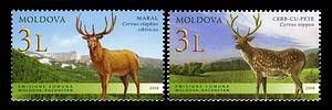 Deer (Joint Issue Between Moldova and Kazakhstan)